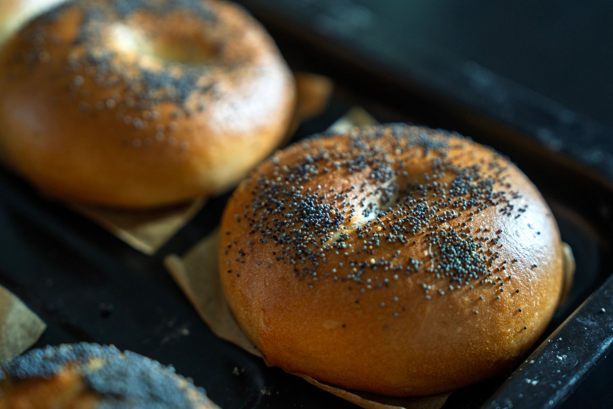 Freshly baked bagels cooling on a tray